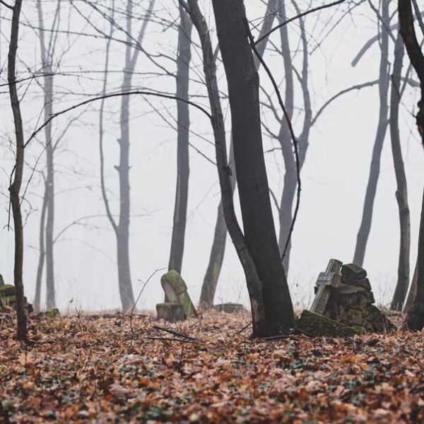 old abandoned cemetery during fog in autumn